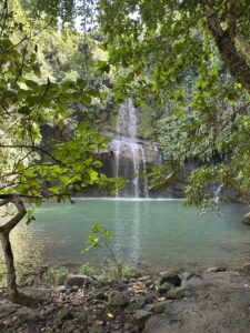 IMG 5032 225x300